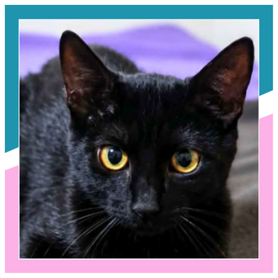 BLACKY